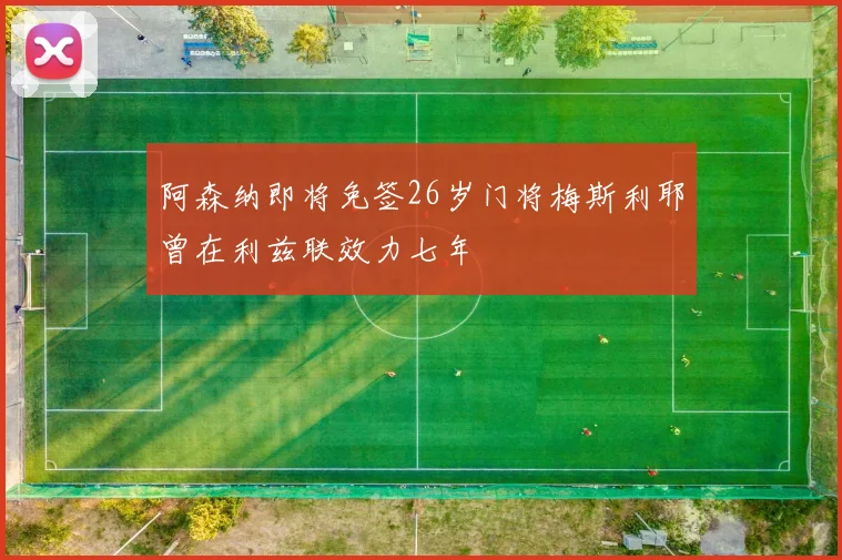 阿森纳即将免签26岁门将梅斯利耶曾在利兹联效力七年