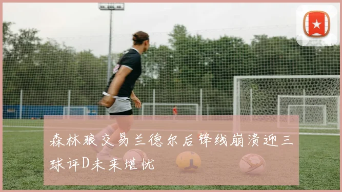 森林狼交易兰德尔后锋线崩溃迎三球评D未来堪忧
